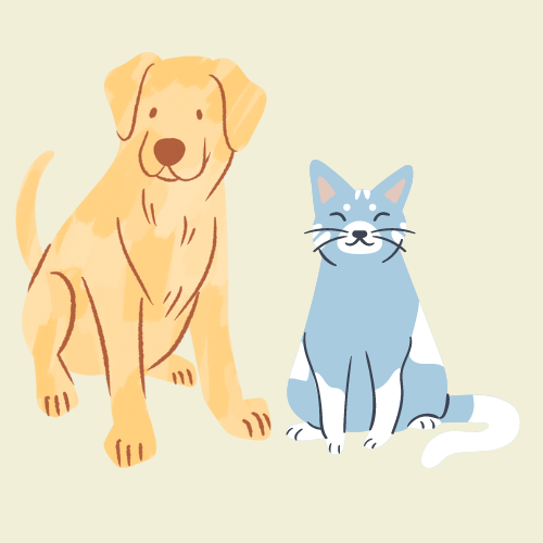 A dog and a cat sitting together